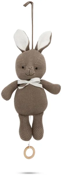 Kaniini, jossa on musiikkia -Wood Ekologinen